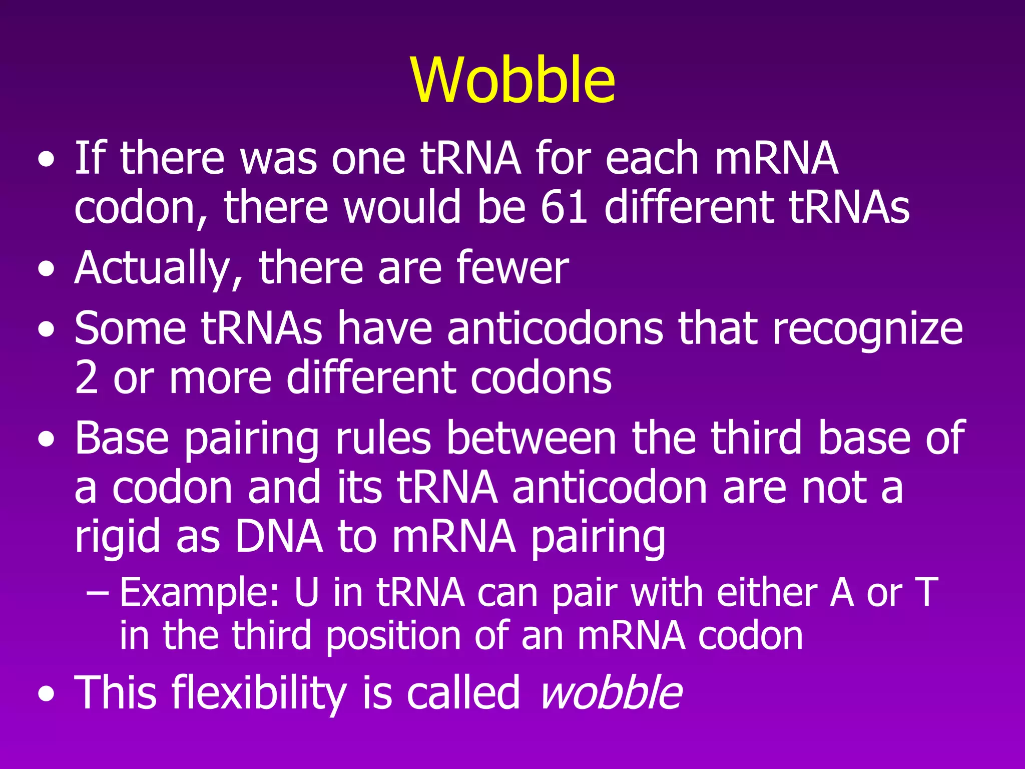 Wobble If there was one tRNA for each mRNA codon, there would be 61 different tRNAs Actually, there are fewer Some tRNAs have anticodons that recognize 2 or more different codons Base pairing rules between the third base of a codon and its tRNA anticodon are not a rigid as DNA to mRNA pairing Example: U in tRNA can pair with either A or T in the third position of an mRNA codon This flexibility is called  wobble 