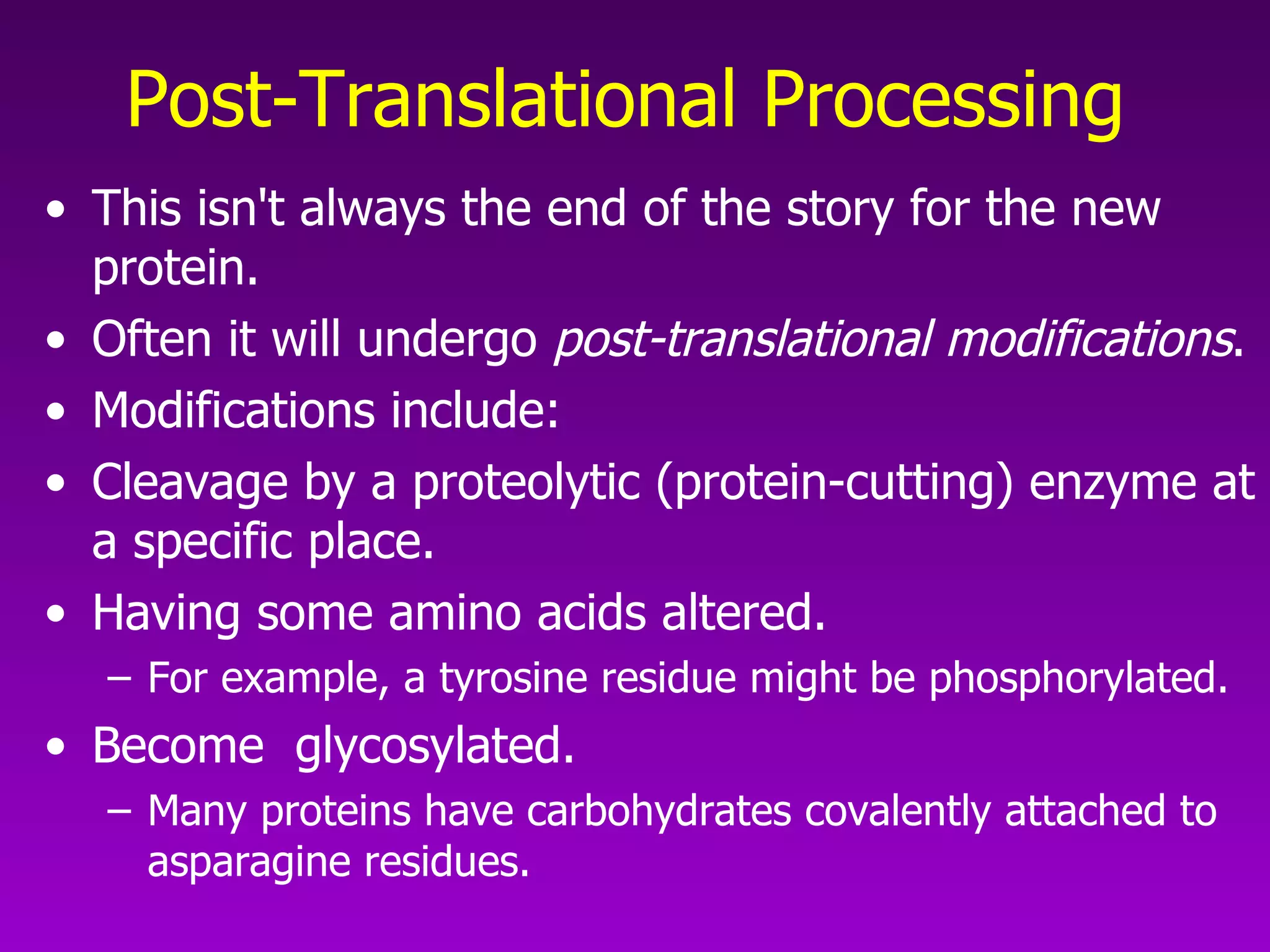 Post-Translational Processing   This isn't always the end of the story for the new protein.  Often it will undergo  post-translational modifications .  Modifications include:  Cleavage by a proteolytic (protein-cutting) enzyme at a specific place.  Having some amino acids altered.  For example, a tyrosine residue might be phosphorylated.  Become  glycosylated.  Many proteins have carbohydrates covalently attached to asparagine residues.  