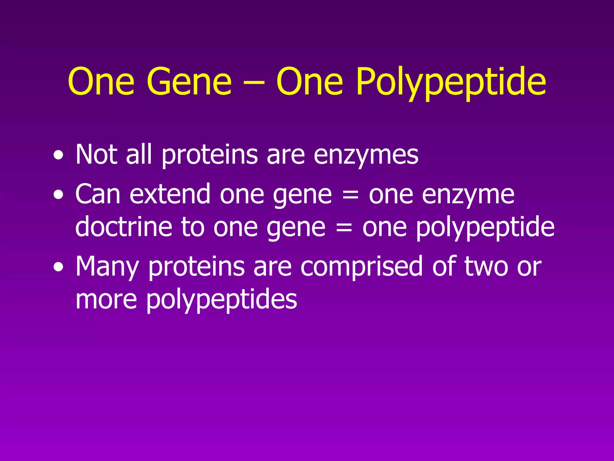 One Gene – One Polypeptide Not all proteins are enzymes Can extend one gene = one enzyme doctrine to one gene = one polypeptide Many proteins are comprised of two or more polypeptides 