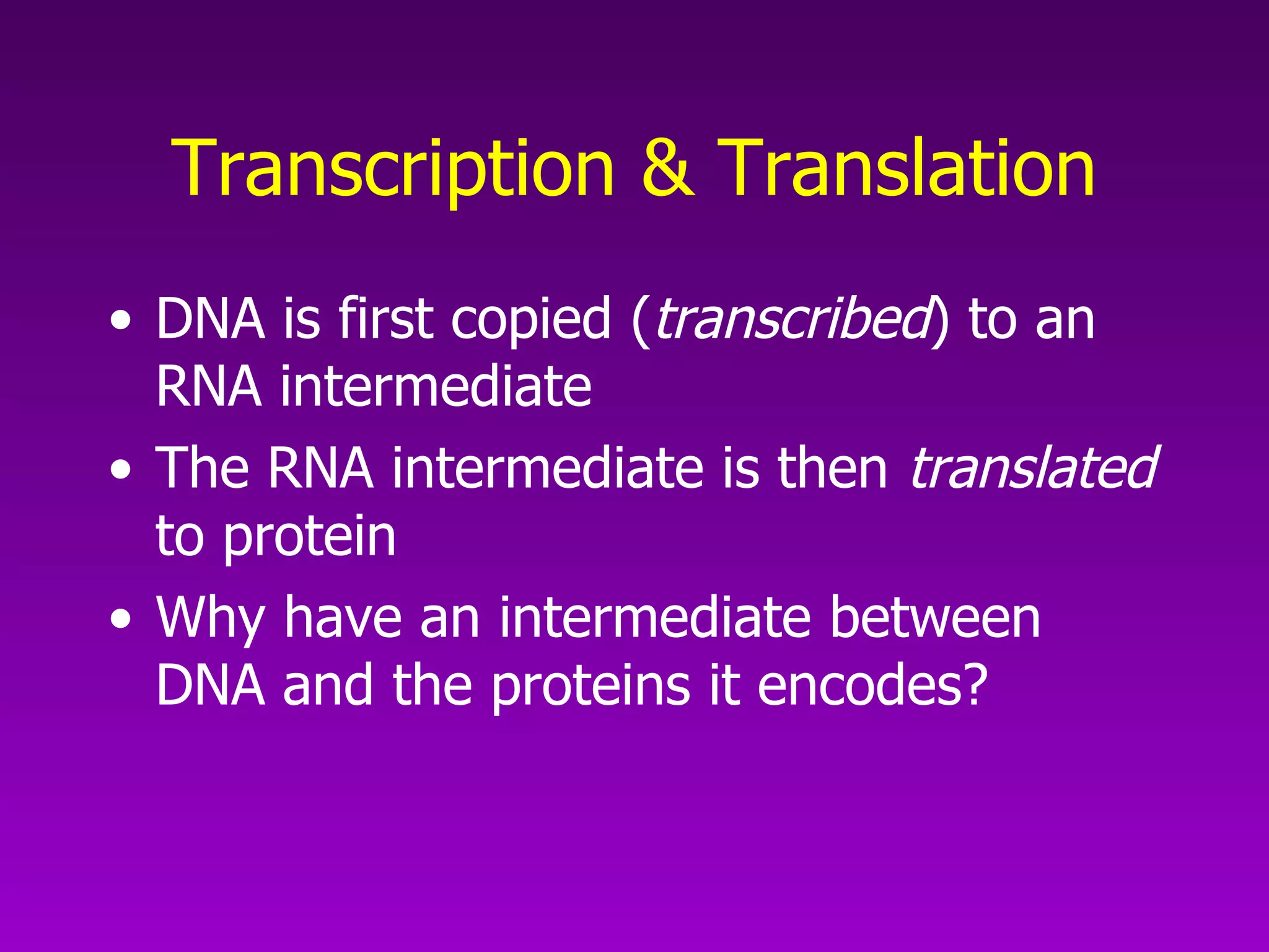 Transcription & Translation DNA is first copied ( transcribed ) to an RNA intermediate The RNA intermediate is then  translated  to protein Why have an intermediate between DNA and the proteins it encodes?  