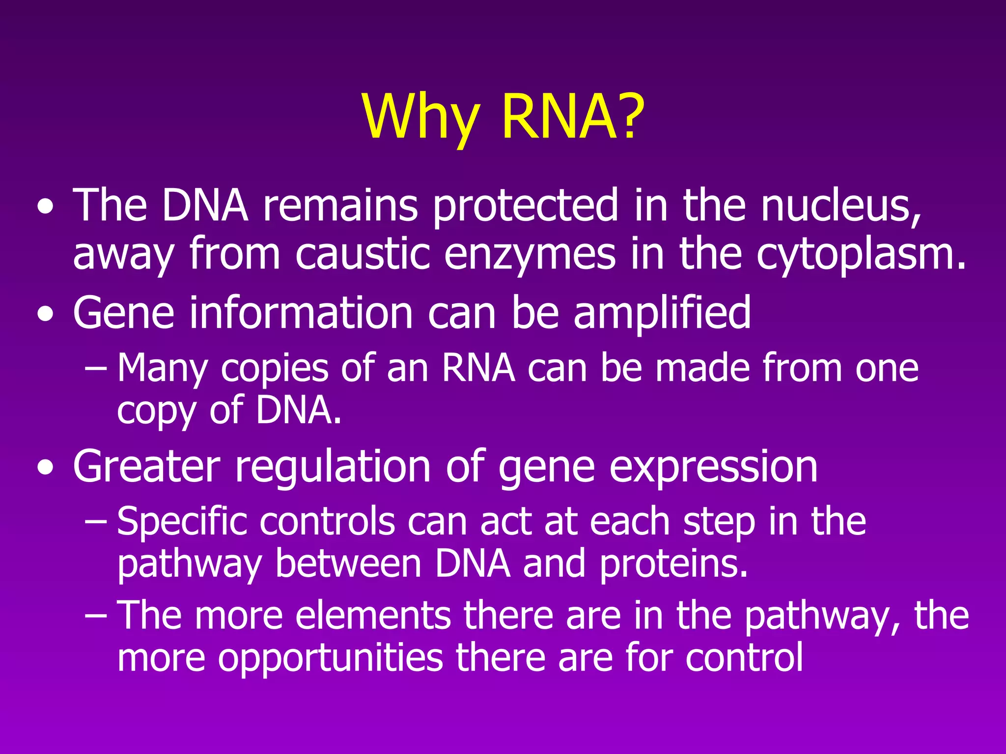 Why RNA? The DNA remains protected in the nucleus, away from caustic enzymes in the cytoplasm.  Gene information can be amplified  Many copies of an RNA can be made from one copy of DNA.  Greater regulation of gene expression  Specific controls can act at each step in the pathway between DNA and proteins.  The more elements there are in the pathway, the more opportunities there are for control 