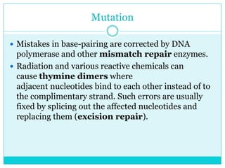 Mutation

 Mistakes in base-pairing are corrected by DNA
  polymerase and other mismatch repair enzymes.
 Radiation and various reactive chemicals can
  cause thymine dimers where
  adjacent nucleotides bind to each other instead of to
  the complimentary strand. Such errors are usually
  fixed by splicing out the affected nucleotides and
  replacing them (excision repair).
 