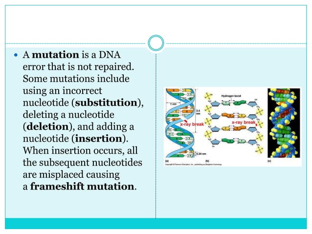 Molecular Genetics Ppt Pptx Programming Languages Computing