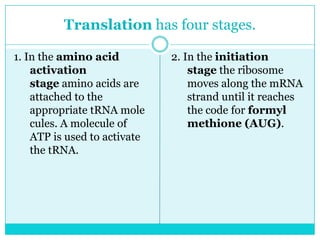 Translation has four stages.

1. In the amino acid          2. In the initiation
    activation                    stage the ribosome
    stage amino acids are         moves along the mRNA
    attached to the               strand until it reaches
    appropriate tRNA mole         the code for formyl
    cules. A molecule of          methione (AUG).
    ATP is used to activate
    the tRNA.
 