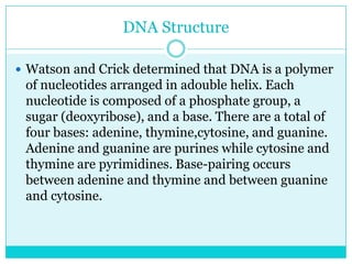 DNA Structure

 Watson and Crick determined that DNA is a polymer
 of nucleotides arranged in adouble helix. Each
 nucleotide is composed of a phosphate group, a
 sugar (deoxyribose), and a base. There are a total of
 four bases: adenine, thymine,cytosine, and guanine.
 Adenine and guanine are purines while cytosine and
 thymine are pyrimidines. Base-pairing occurs
 between adenine and thymine and between guanine
 and cytosine.
 