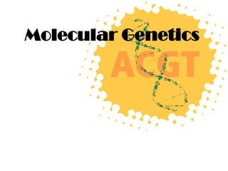 Molecular Genetics
 