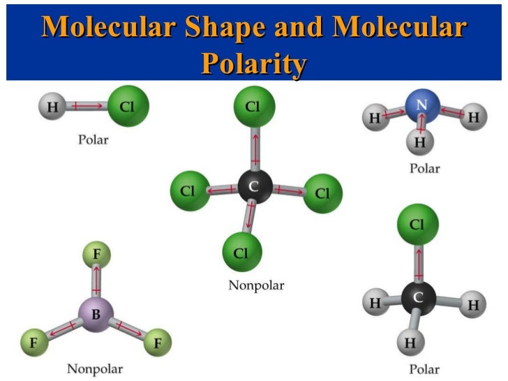 polar covalent bond