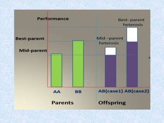 Heterosis Graph Molecular heterosis | PPTX
