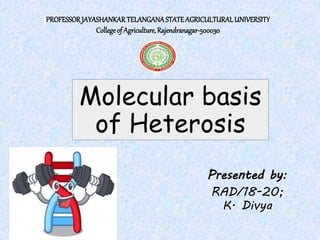Molecular basis
of Heterosis
Presented by:
RAD/18-20;
K. Divya
PROFESSORJAYASHANKARTELANGANASTATEAGRICULTURALUNIVERSITY
Collegeof Agriculture,Rajendranagar-500030
 