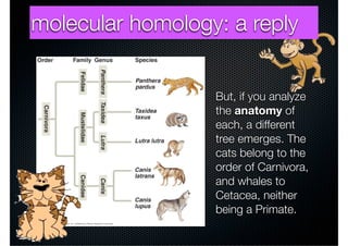 Molecular homology | PDF