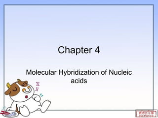 Chapter 4
Molecular Hybridization of Nucleic
acids
 