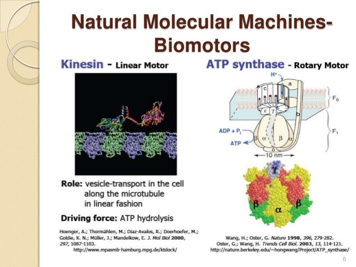 natural molecular machines