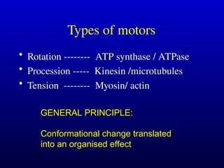 Molecular Machines-Motors for cell biology .ppt