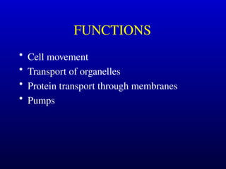 Cell Moving Machine Molecular Machines-Motors for cell biology .ppt