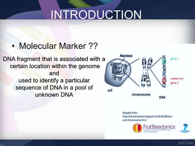 Molecular marker (DNA and Protein Profiling ) in Wildlife | PPT