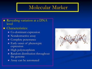 Molecular Marker
 Revealing variation at a DNA
level
 Characteristics:
 Co-dominant expression
 Nondestructive assay
 Complete penetrance
 Early onset of phenotypic
expression
 High polymorphism
 Random distribution throughout
the genome
 Assay can be automated
 