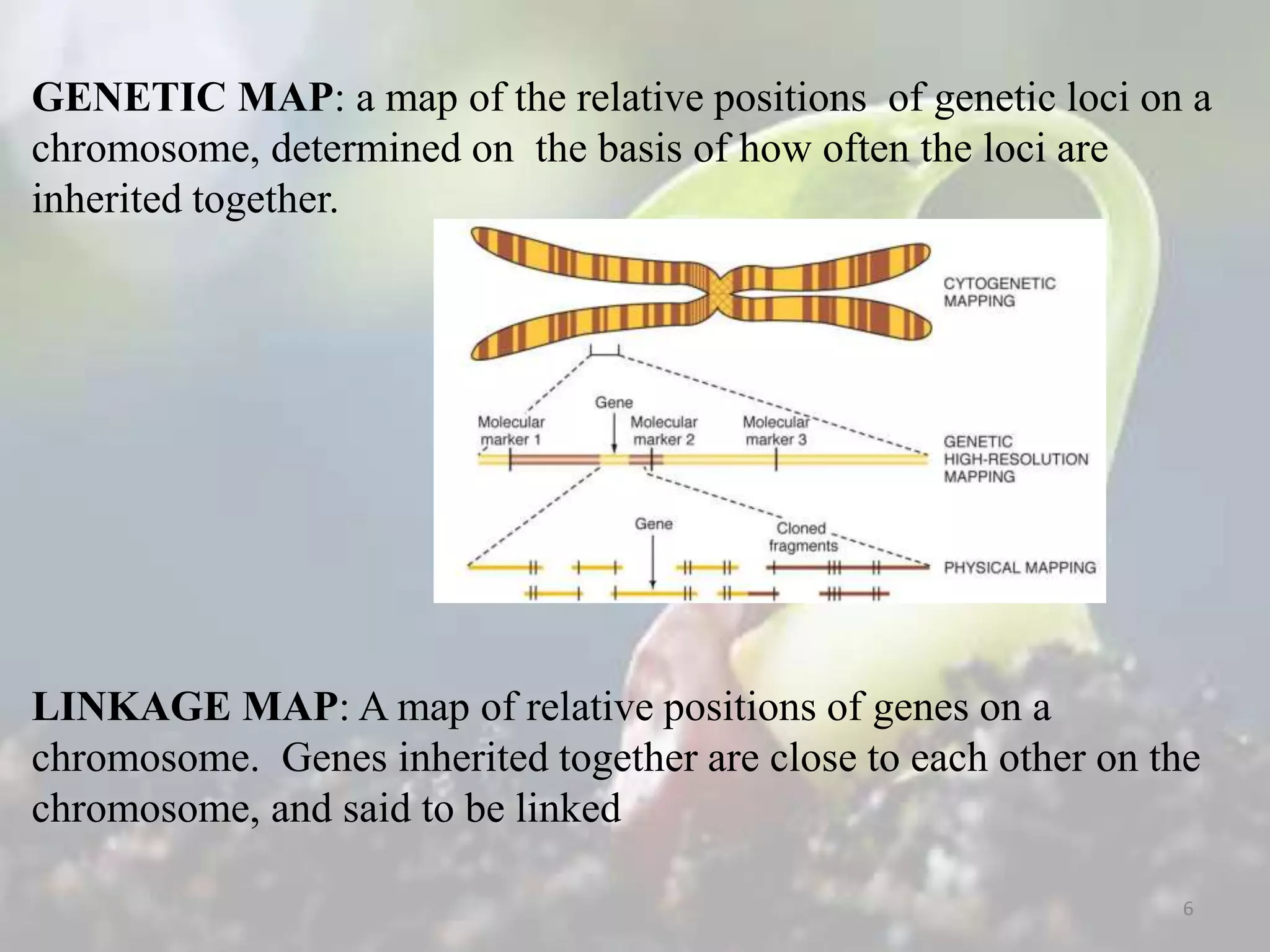 MOLECULAR MARKER AIDED BREEDING.pptx