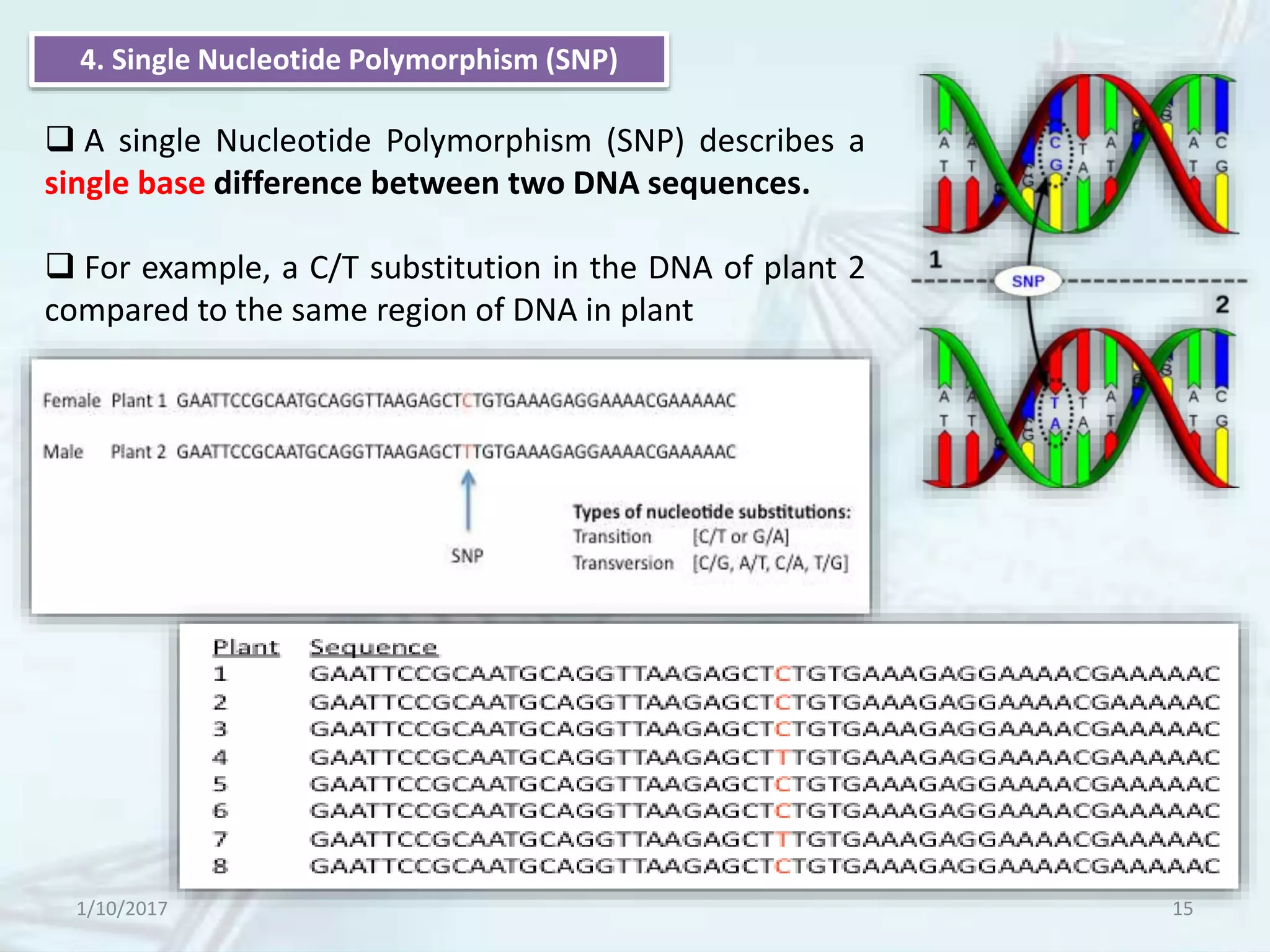 1/10/2017 15
 A single Nucleotide Polymorphism (SNP) describes a
single base difference between two DNA sequences.
 For example, a C/T substitution in the DNA of plant 2
compared to the same region of DNA in plant
4. Single Nucleotide Polymorphism (SNP)
 