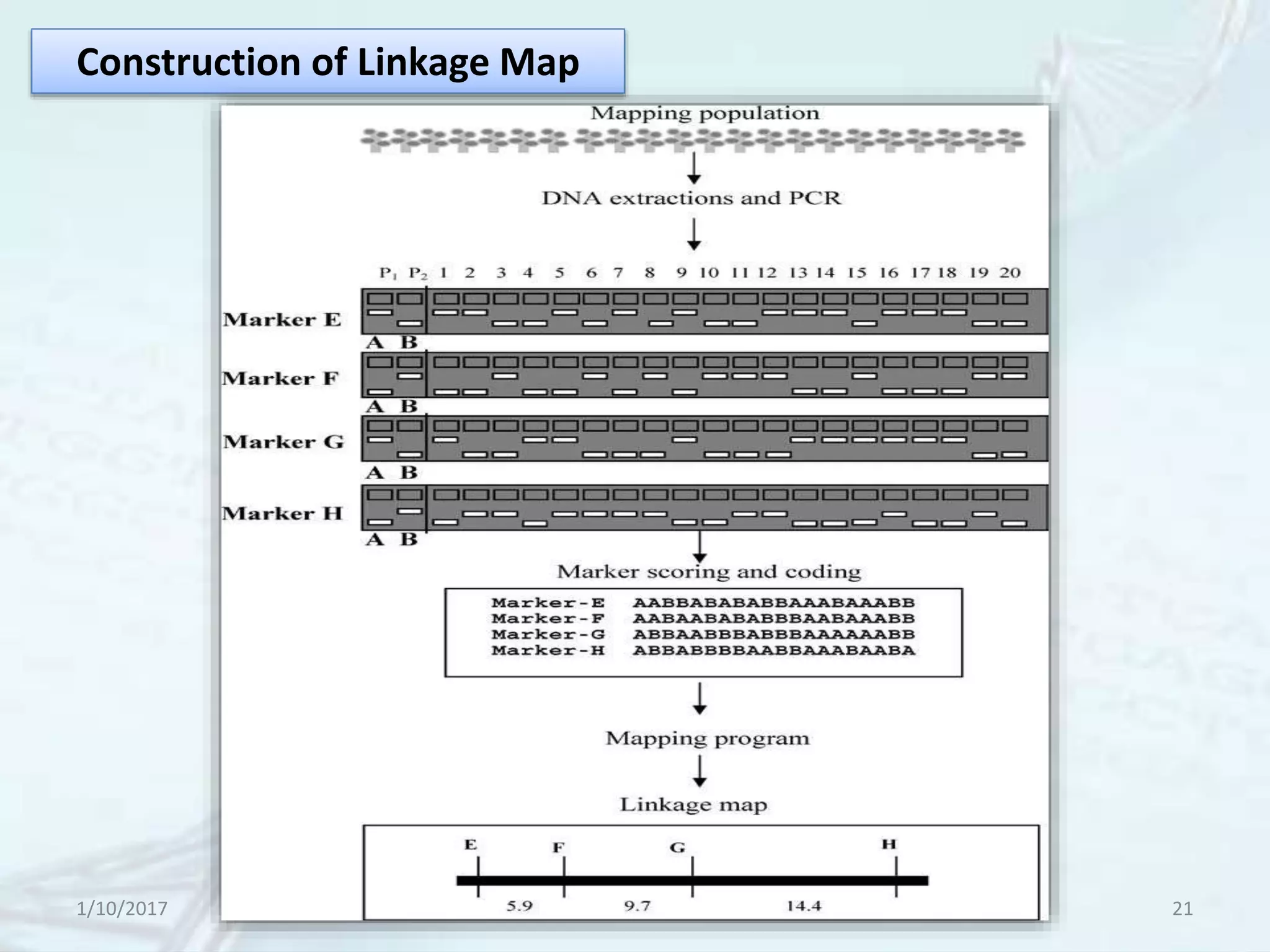 1/10/2017 21
Construction of Linkage Map
 