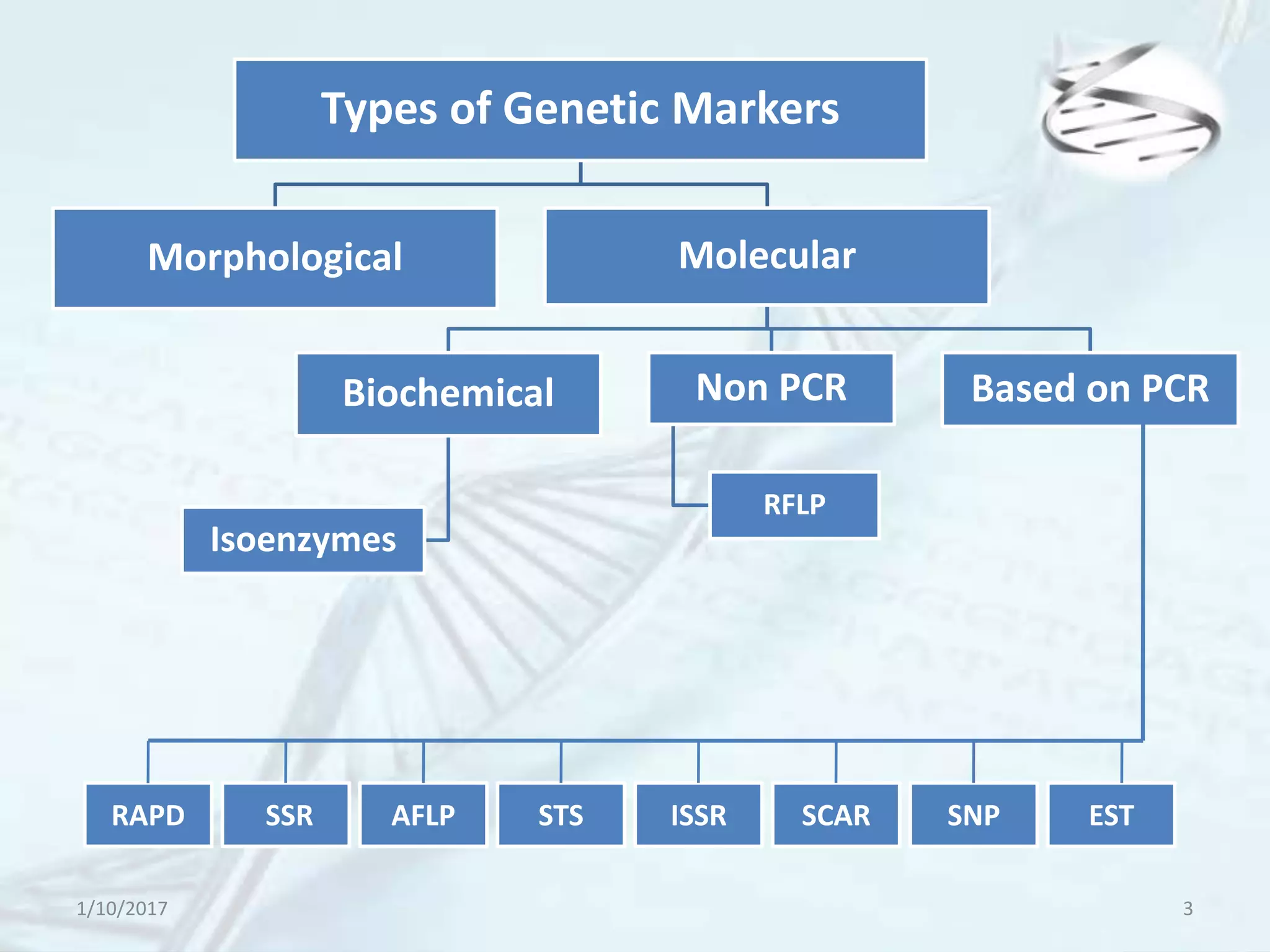 Types of Genetic Markers
Morphological Molecular
Biochemical
Isoenzymes
Non PCR
RFLP
Based on PCR
RAPD SSR AFLP STS ISSR SCAR SNP EST
1/10/2017 3
 