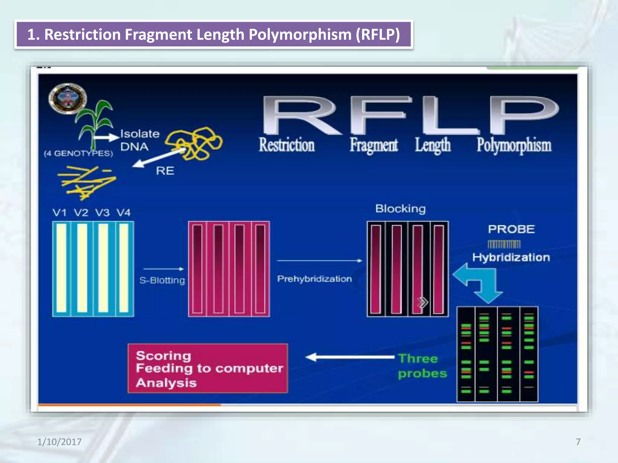 1. Restriction Fragment Length Polymorphism (RFLP)
1/10/2017 7
 