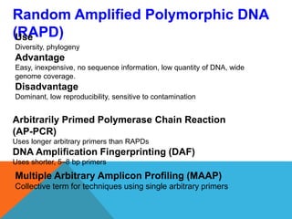 Random Amplified Polymorphic DNA
(RAPD)
Multiple Arbitrary Amplicon Profiling (MAAP)
Collective term for techniques using single arbitrary primers
Use
Diversity, phylogeny
Advantage
Easy, inexpensive, no sequence information, low quantity of DNA, wide
genome coverage.
Disadvantage
Dominant, low reproducibility, sensitive to contamination
Arbitrarily Primed Polymerase Chain Reaction
(AP-PCR)
Uses longer arbitrary primers than RAPDs
DNA Amplification Fingerprinting (DAF)
Uses shorter, 5–8 bp primers
 