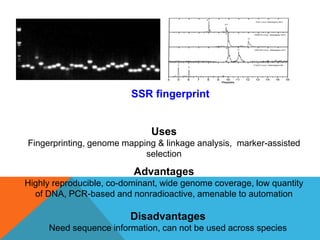 Uses
Fingerprinting, genome mapping & linkage analysis, marker-assisted
selection
Advantages
Highly reproducible, co-dominant, wide genome coverage, low quantity
of DNA, PCR-based and nonradioactive, amenable to automation
Disadvantages
Need sequence information, can not be used across species
SSR fingerprint
 