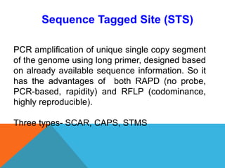 Sequence Tagged Site (STS)
PCR amplification of unique single copy segment
of the genome using long primer, designed based
on already available sequence information. So it
has the advantages of both RAPD (no probe,
PCR-based, rapidity) and RFLP (codominance,
highly reproducible).
Three types- SCAR, CAPS, STMS
 