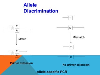 C
T
A
T
Match
C
T
Mismatch
Primer extension
No primer extension
Allele-specific PCR
A
T
Allele
Discrimination
 