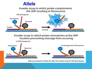 Allele
Discrimination
 