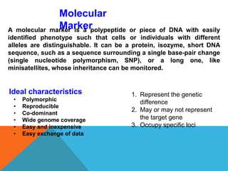Molecular
MarkerA molecular marker is a polypeptide or piece of DNA with easily
identified phenotype such that cells or individuals with different
alleles are distinguishable. It can be a protein, isozyme, short DNA
sequence, such as a sequence surrounding a single base-pair change
(single nucleotide polymorphism, SNP), or a long one, like
minisatellites, whose inheritance can be monitored.
Ideal characteristics
• Polymorphic
• Reproducible
• Co-dominant
• Wide genome coverage
• Easy and inexpensive
• Easy exchange of data
1. Represent the genetic
difference
2. May or may not represent
the target gene
3. Occupy specific loci
 