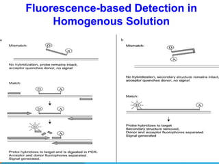 Fluorescence-based Detection in
Homogenous Solution
 