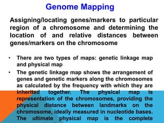 Genome Mapping
Assigning/locating genes/markers to particular
region of a chromosome and determining the
location of and relative distances between
genes/markers on the chromosome
• There are two types of maps: genetic linkage map
and physical map
• The genetic linkage map shows the arrangement of
genes and genetic markers along the chromosomes
as calculated by the frequency with which they are
inherited together. The physical map is
representation of the chromosomes, providing the
physical distance between landmarks on the
chromosome, ideally measured in nucleotide bases.
The ultimate physical map is the complete
 