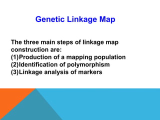 Genetic Linkage Map
The three main steps of linkage map
construction are:
(1)Production of a mapping population
(2)Identification of polymorphism
(3)Linkage analysis of markers
 