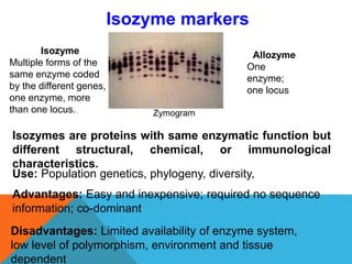 Isozyme markers
Zymogram
Isozymes are proteins with same enzymatic function but
different structural, chemical, or immunological
characteristics.
Use: Population genetics, phylogeny, diversity,
Isozyme
Multiple forms of the
same enzyme coded
by the different genes,
one enzyme, more
than one locus.
Allozyme
One
enzyme;
one locus
Advantages: Easy and inexpensive; required no sequence
information; co-dominant
Disadvantages: Limited availability of enzyme system,
low level of polymorphism, environment and tissue
dependent
 