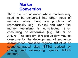 Marker
Conversion
There are two instances where markers may
need to be converted into other types of
markers: when there are problems of
reproducibility (e.g. RAPDs) and when the
marker technique is complicated, time-
consuming or expensive (e.g. RFLPs or
AFLPs). The problem of reproducibility may be
overcome by the development. of sequence
characterised amplified regions (SCARs) or
sequence-tagged sites (STSs) derived by
cloning and sequencing specific RAPD
markers.
 