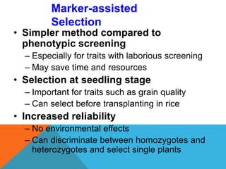 • Simpler method compared to
phenotypic screening
– Especially for traits with laborious screening
– May save time and resources
• Selection at seedling stage
– Important for traits such as grain quality
– Can select before transplanting in rice
• Increased reliability
– No environmental effects
– Can discriminate between homozygotes and
heterozygotes and select single plants
Marker-assisted
Selection
 