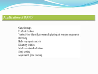 APPLICATION of RAPDApplication of RAPD
 