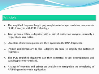 Principle
1. The amplified fragment length polymorphism technique combines components
of RFLP analysis with PCR technology.
2. Total genomic DNA is digested with a pair of restriction enzymes normally a
frequent and rare cutter.
3. Adaptors of known sequence are then ligation to the DNA fragments.
4. Primer complementary to the adaptors are used to amplify the restriction
fragments.
5. The PCR amplified fragments can then separated by gel electrophoresis and
banding patterns visualized.
6. A range of enzymes and primer are available to manipulate the complexity of
AFLP fingerprint to suit application
 