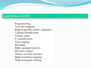 Application of AFLP
 
