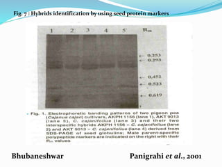 Fig. 7 : Hybrids identification by using seed protein markers
Bhubaneshwar Panigrahi et al., 2001
 
