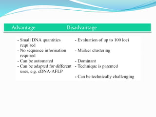 Advantage Disadvantage
 