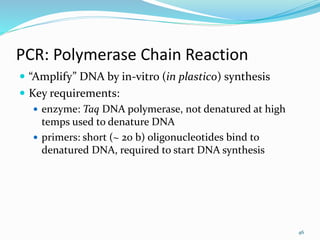 46
PCR: Polymerase Chain Reaction
 “Amplify” DNA by in-vitro (in plastico) synthesis
 Key requirements:
 enzyme: Taq DNA polymerase, not denatured at high
temps used to denature DNA
 primers: short (~ 20 b) oligonucleotides bind to
denatured DNA, required to start DNA synthesis
 