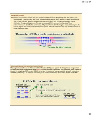Molecular markers | PDF