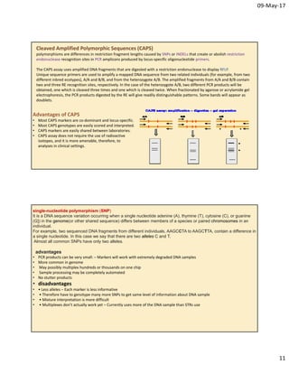 Molecular markers | PDF