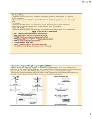 Molecular markers | PDF