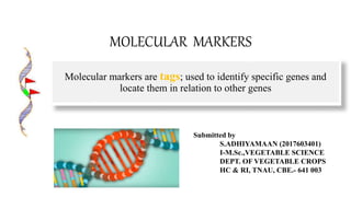 MOLECULAR MARKERS
Molecular markers are tags; used to identify specific genes and
locate them in relation to other genes
Submitted by
S.ADHIYAMAAN (2017603401)
I-M.Sc.,VEGETABLE SCIENCE
DEPT. OF VEGETABLE CROPS
HC & RI, TNAU, CBE.- 641 003
 