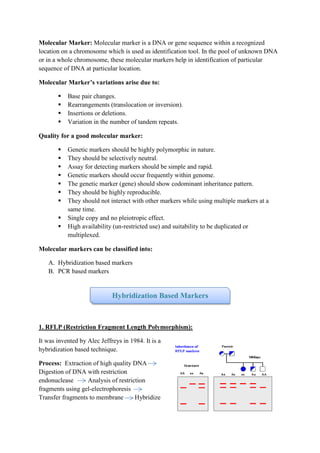 Molecular markers - EASY!! | PDF