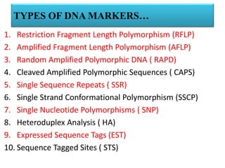 TYPES OF DNA MARKERS…
1. Restriction Fragment Length Polymorphism (RFLP)
2. Amplified Fragment Length Polymorphism (AFLP)
3. Random Amplified Polymorphic DNA ( RAPD)
4. Cleaved Amplified Polymorphic Sequences ( CAPS)
5. Single Sequence Repeats ( SSR)
6. Single Strand Conformational Polymorphism (SSCP)
7. Single Nucleotide Polymorphisms ( SNP)
8. Heteroduplex Analysis ( HA)
9. Expressed Sequence Tags (EST)
10. Sequence Tagged Sites ( STS)
 