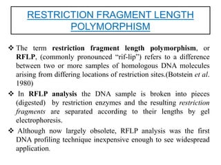 RESTRICTION FRAGMENT LENGTH
POLYMORPHISM
 The term restriction fragment length polymorphism, or
RFLP, (commonly pronounced “rif-lip”) refers to a difference
between two or more samples of homologous DNA molecules
arising from differing locations of restriction sites.(Botstein et al.
1980)
 In RFLP analysis the DNA sample is broken into pieces
(digested) by restriction enzymes and the resulting restriction
fragments are separated according to their lengths by gel
electrophoresis.
 Although now largely obsolete, RFLP analysis was the first
DNA profiling technique inexpensive enough to see widespread
application.
 
